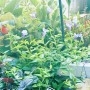 深森　かのんの投稿画像