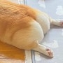 松風　凛の投稿画像