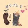 松風　凛の投稿画像