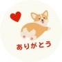松風　凛の投稿画像