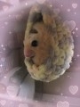 水無月　こゆきの投稿画像
