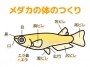 松風　凛の投稿画像