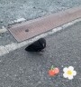 松風　凛の投稿画像