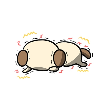 image0.jpeg